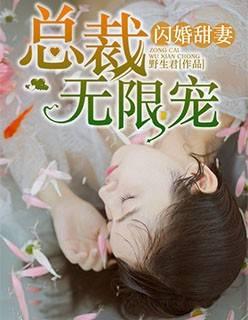 闪婚甜妻:总裁无限宠