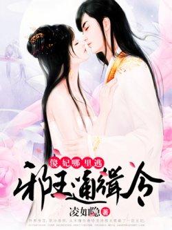 邪王通缉令:傻妃,哪里逃