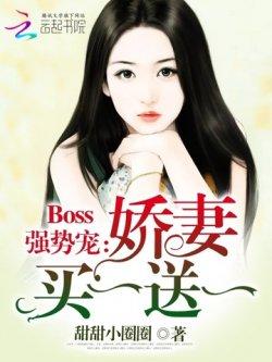 Boss强势宠:娇妻买一送一