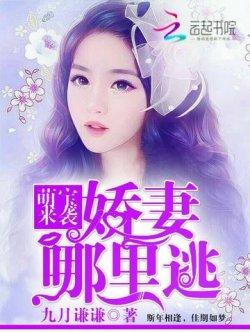 萌宝来袭:娇妻哪里逃