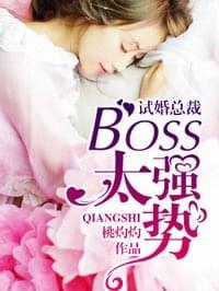 试婚总裁:boss,太强势