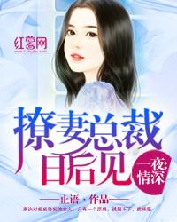 一夜情深:撩妻总裁日后见