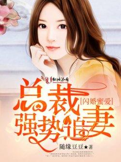 闪婚蜜爱,总裁强势追妻