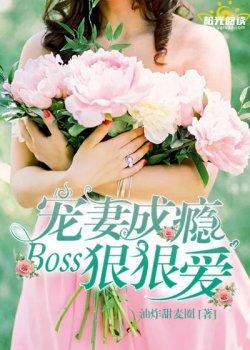 宠妻成瘾,BOSS狠狠爱