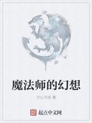 魔法师的幻想