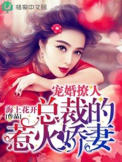 宠婚撩人:总裁的惹火娇妻