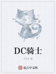 DC骑士