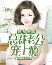 隐婚蜜爱:总裁老公宠上瘾