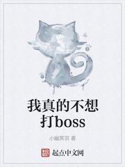 我真的不想打boss