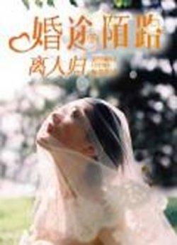 婚途陌路离人归