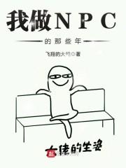 我做NPC的那些年