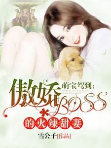 萌宝驾到:傲娇boss的火辣甜妻