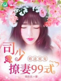 婚途蜜宠:司少撩妻99式