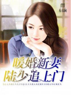 暖婚新妻:陆少追上门