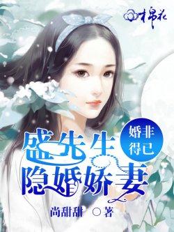 婚非得已:盛先生的隐婚娇妻