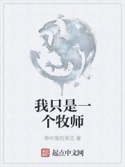 我只是一个牧师