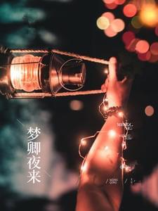 梦卿夜来