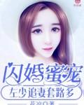 闪婚蜜宠:左少追妻套路多