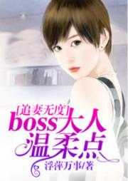 追妻无度:boss大人温柔点