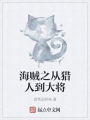 海贼之从猎人到大将