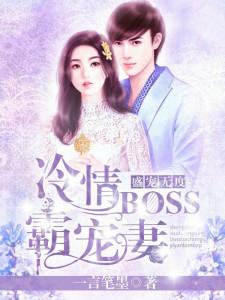 盛宠无度:冷情Boss霸宠妻