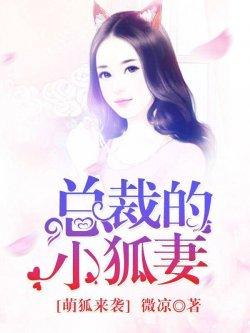 萌狐来袭,总裁的小狐妻